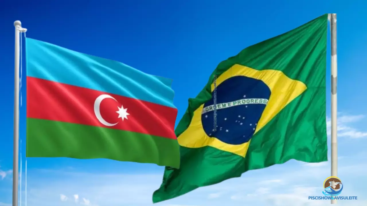 EXPORTAÇÃO ][ Azerbaijão abre mercado para carnes termoprocessadas de aves e suínos do Brasil